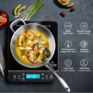 Duxtop Portable Induction